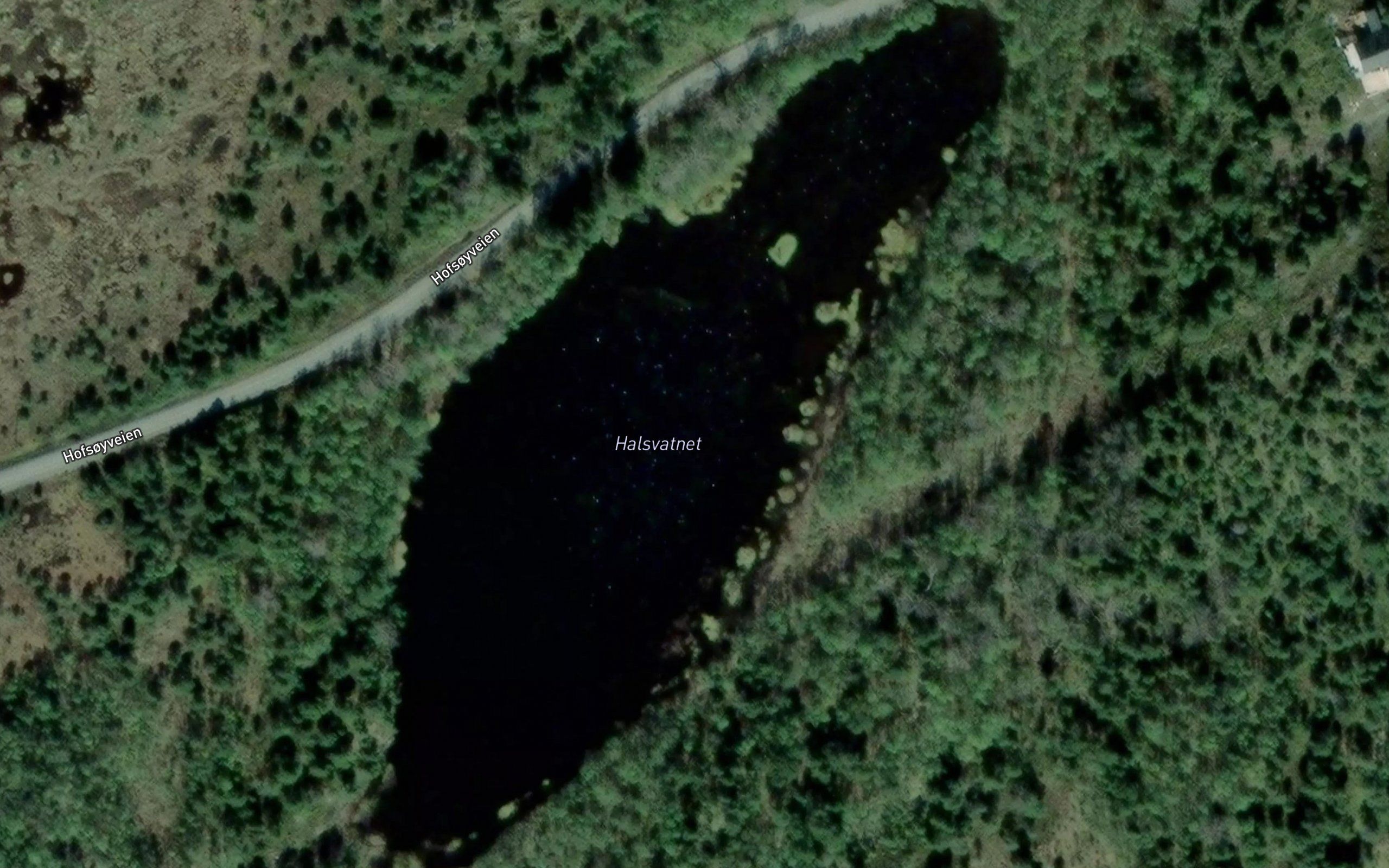 Halsvatnet