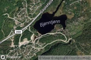 Bjorntjorn