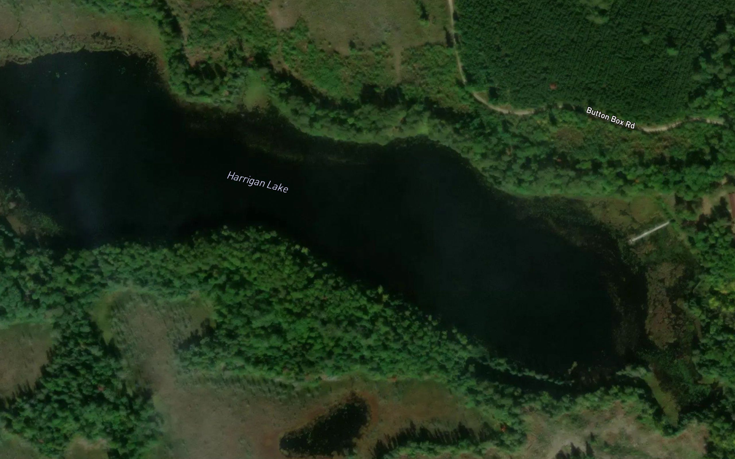 Harrigan Lake
