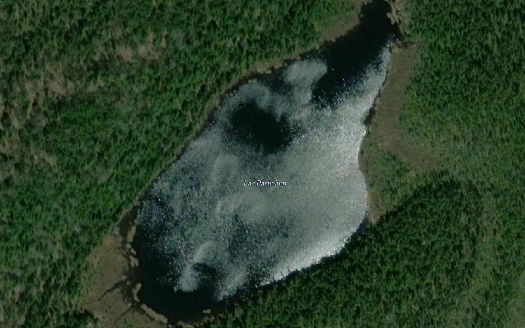 Satellite map of the Lac Partinium