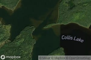 Collis Lake