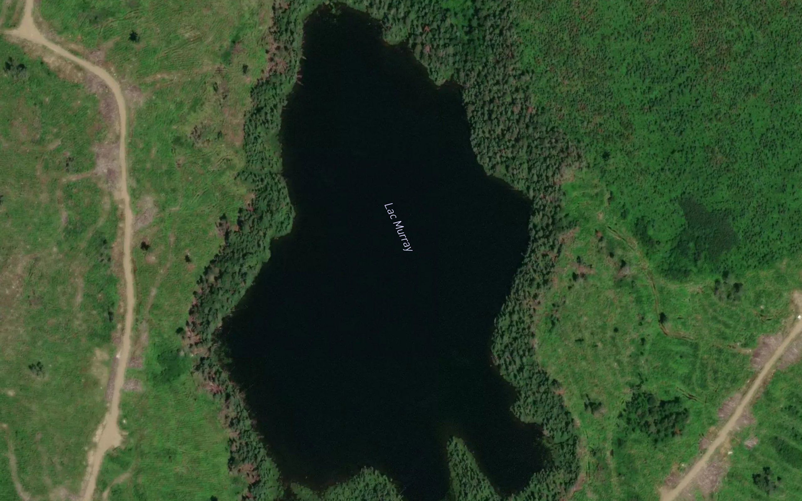 Lac Murray