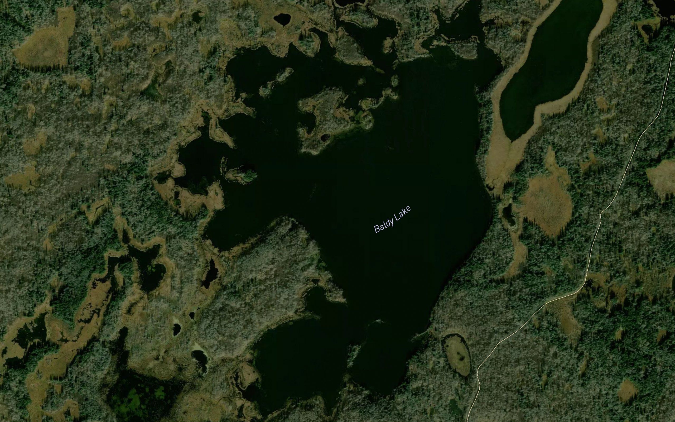 Baldy Lake