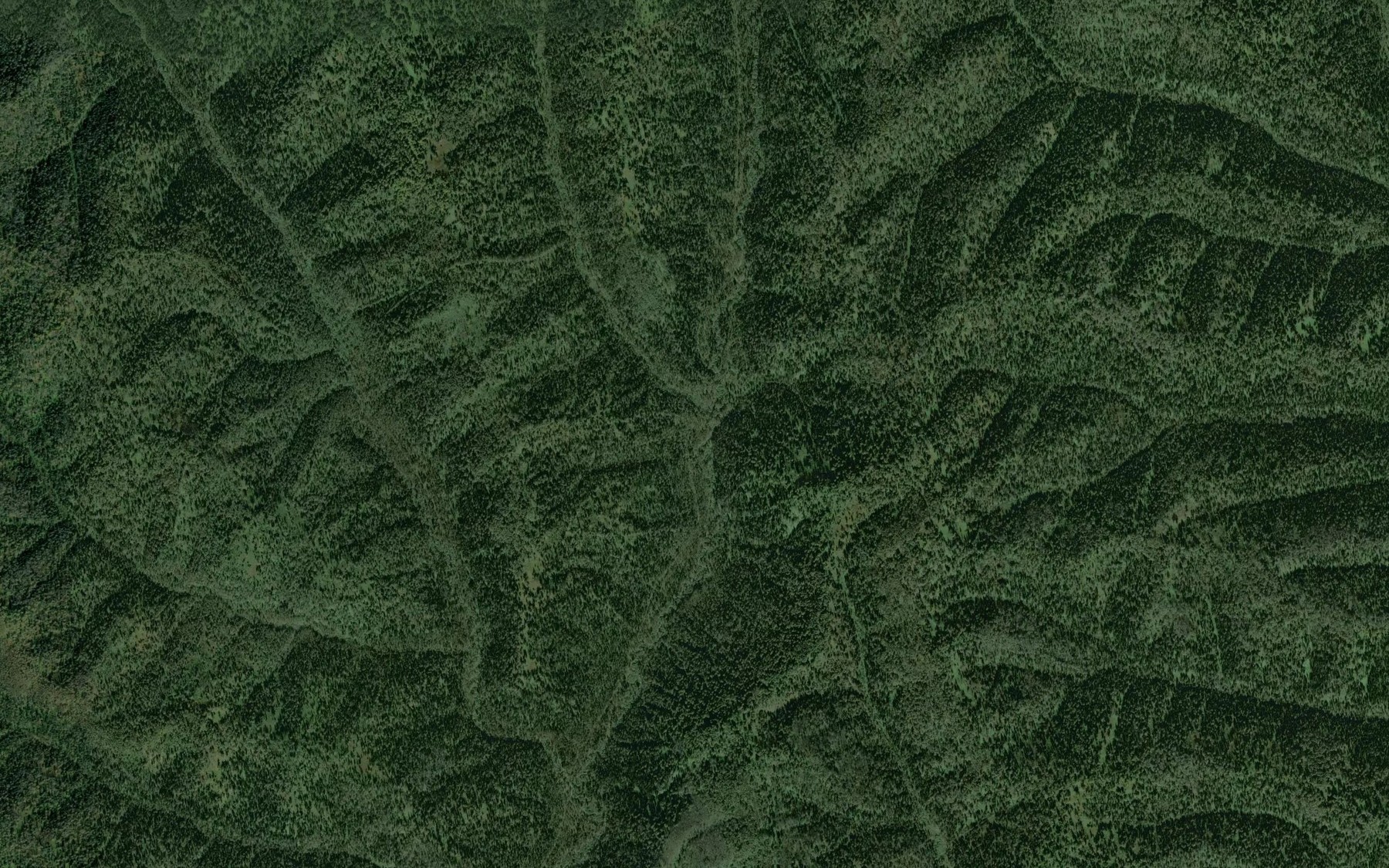 Satellite map of the Dlinnaya