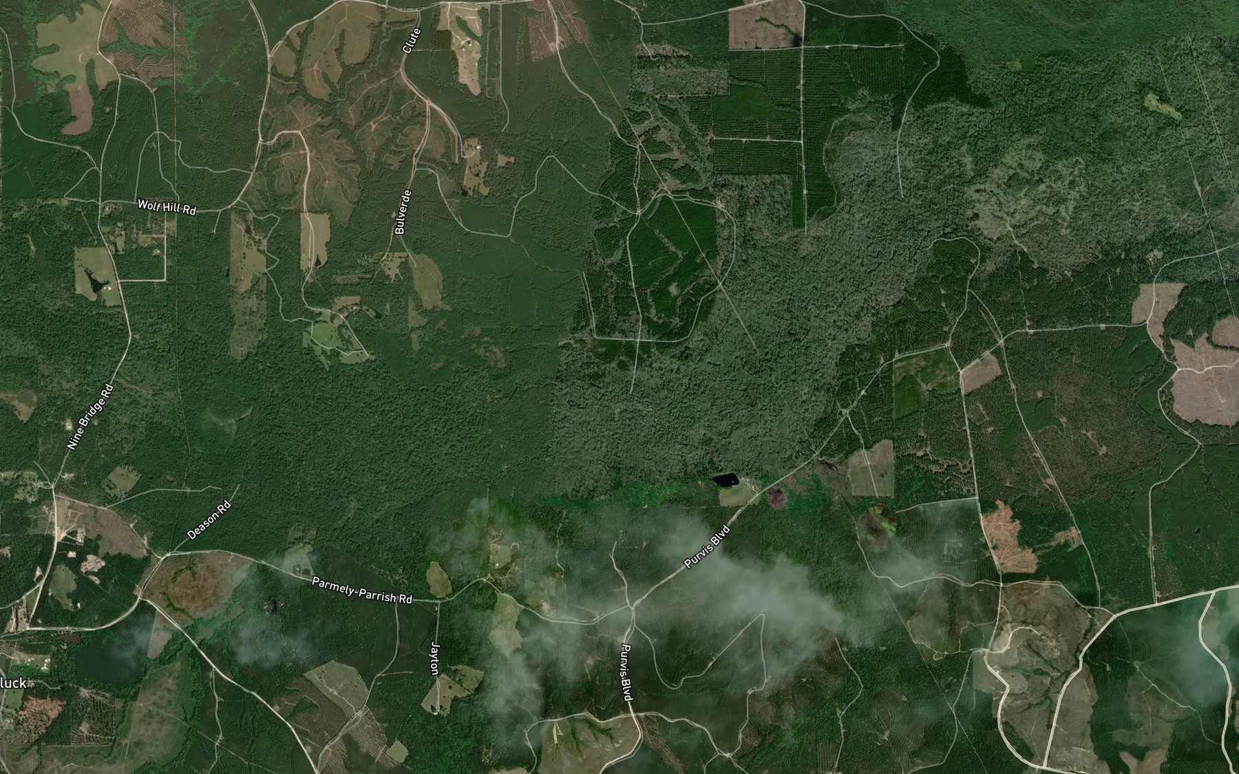 Satellite map of the Saxon Branch