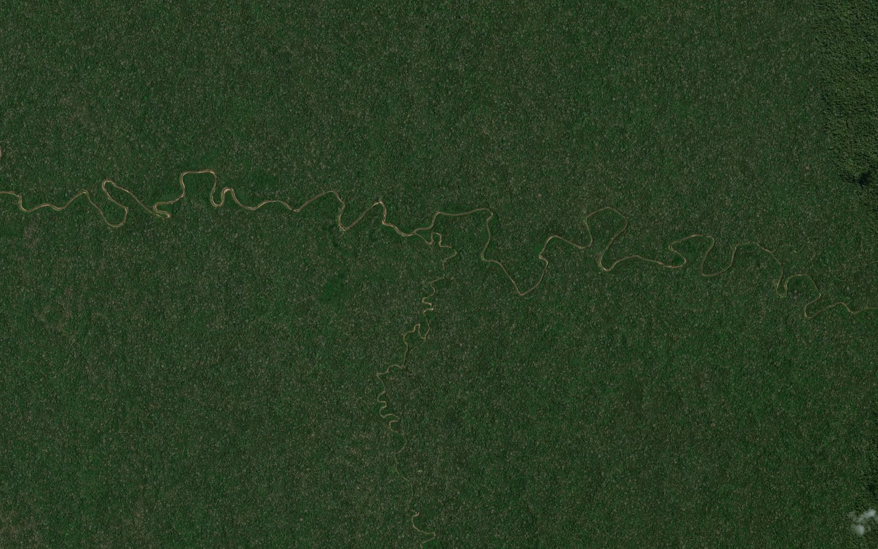 Satellite map of the Rio Loroyacu