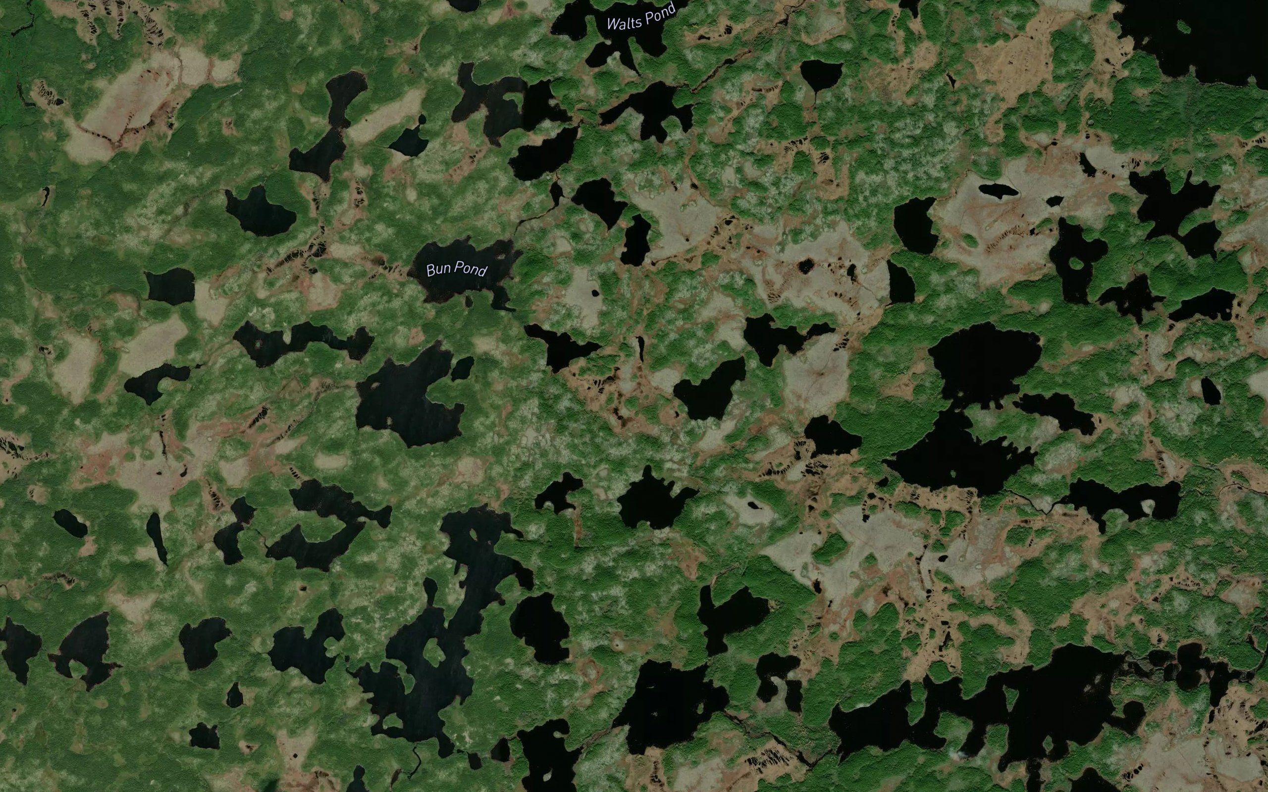 Cranberry Ponds