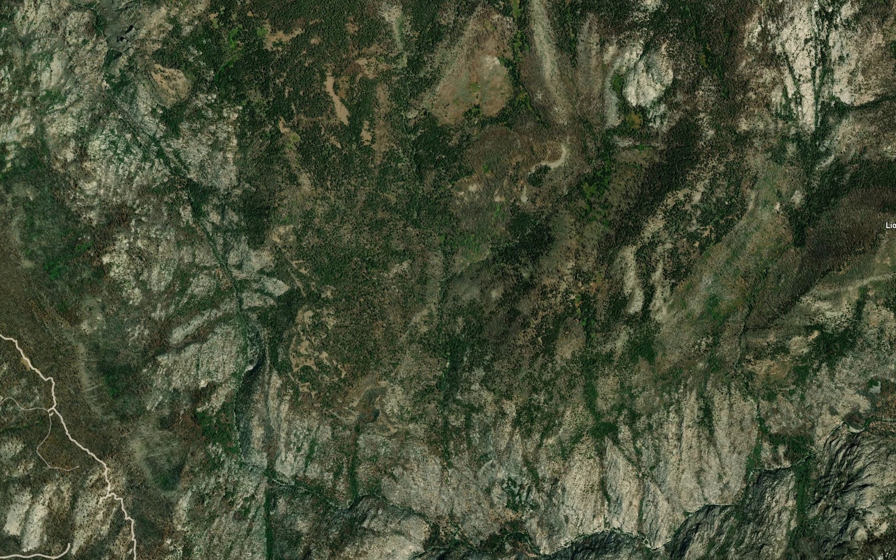 Satellite map of the East Fork Cargyle Creek