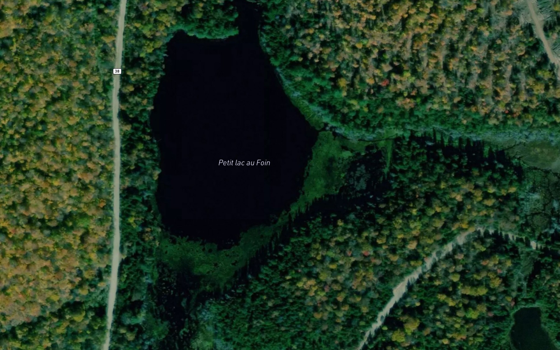 Satellite map of the Petit lac au Foin