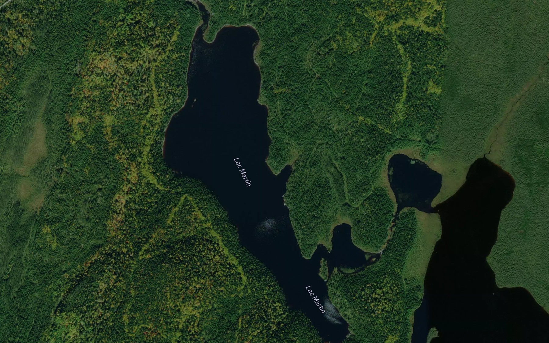 Satellite map of the Lac Martin