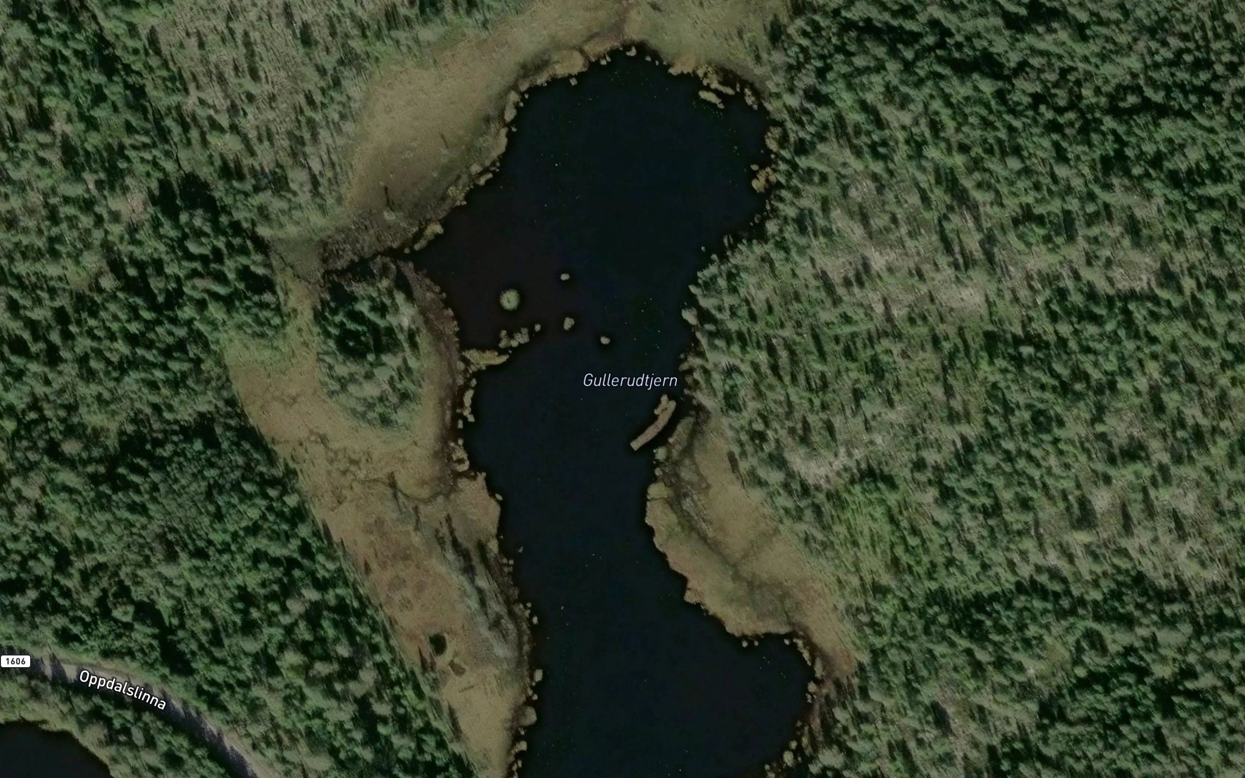 Gullerudtjern