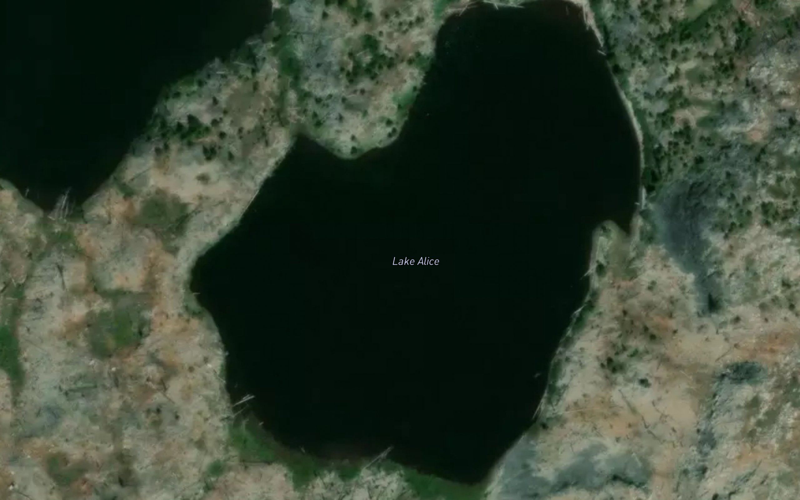 Lake Alice