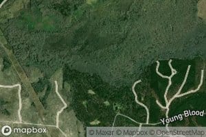 South Fork Upatoi Creek