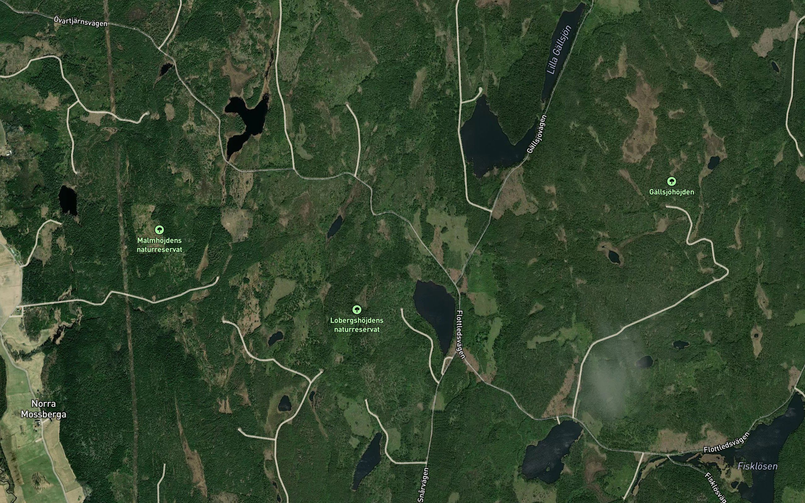 Lobergstjarn