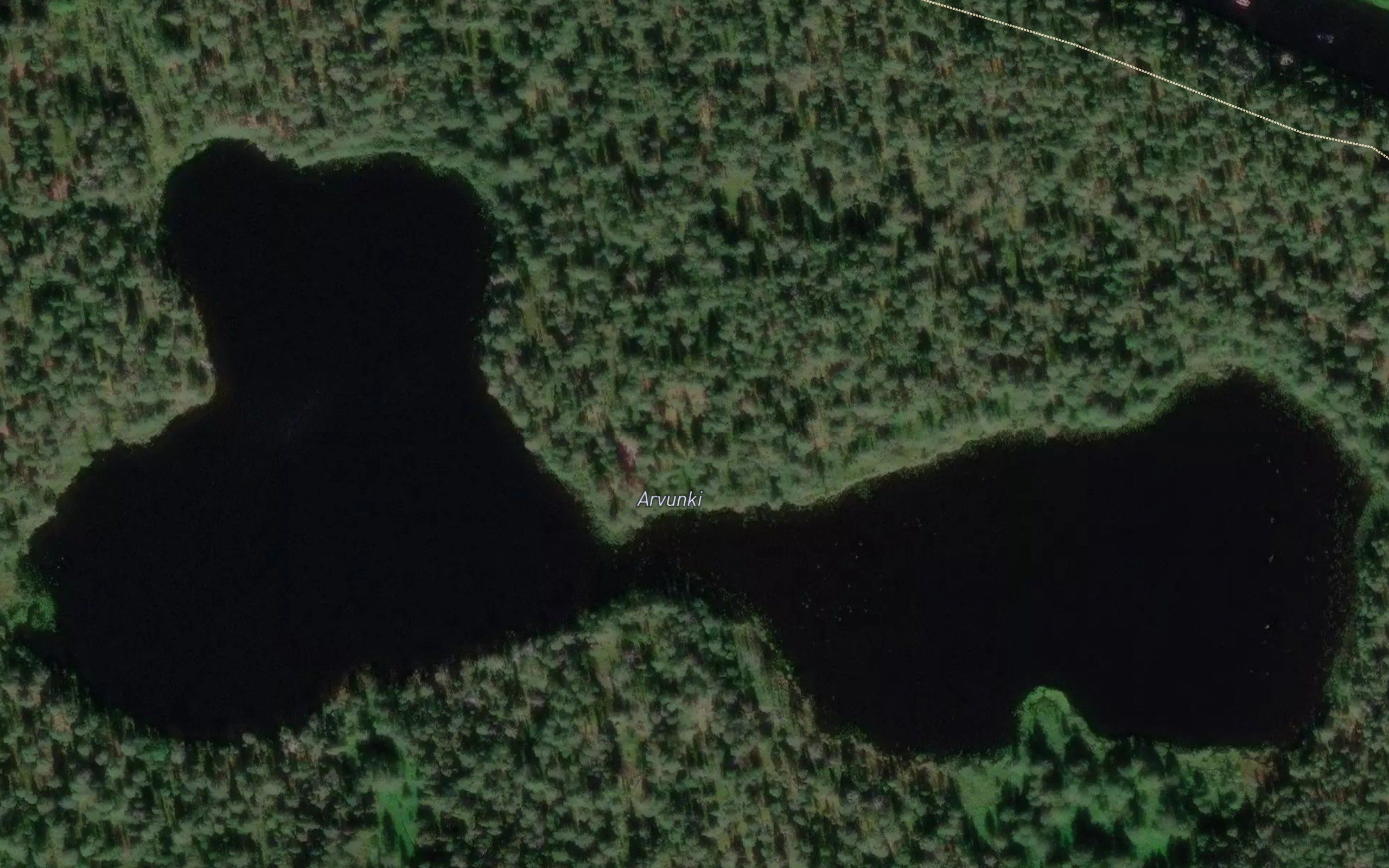 Arvunki
