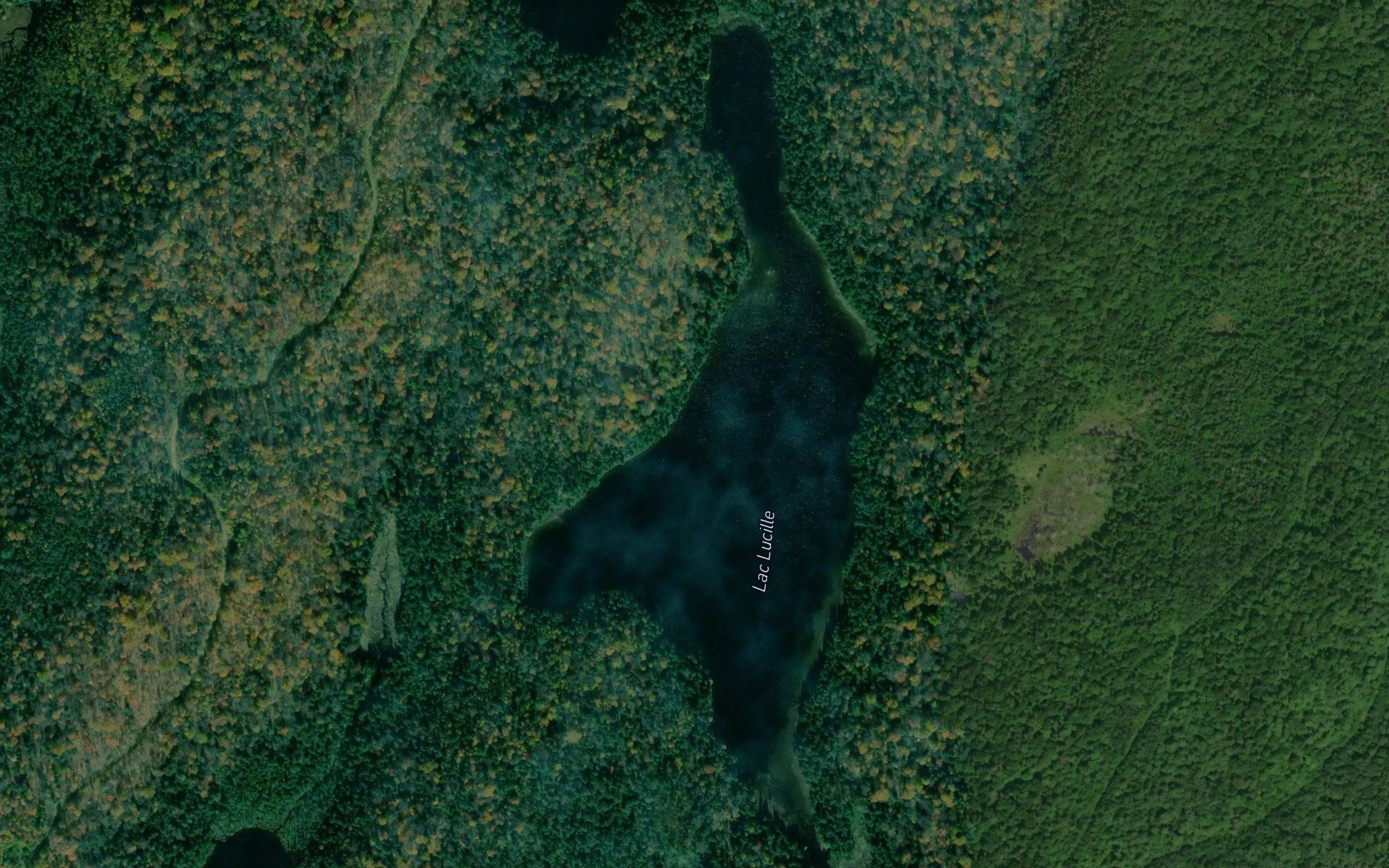 Lac Lucille