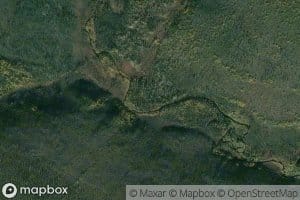 Miner Creek