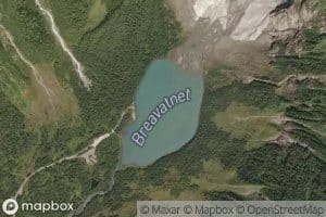 Brevatnet