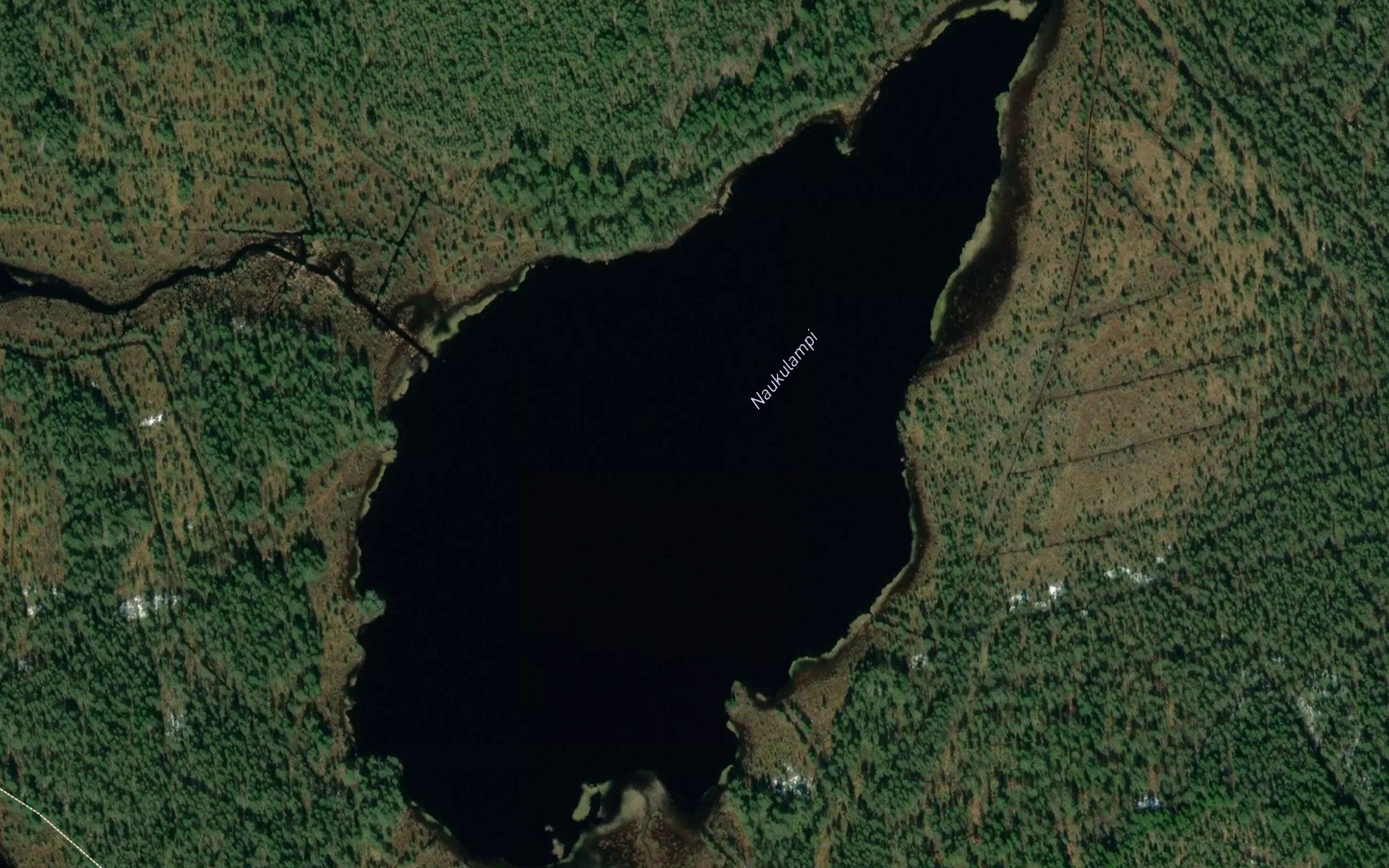 Naukulampi