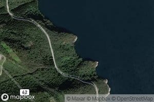 Mannvika