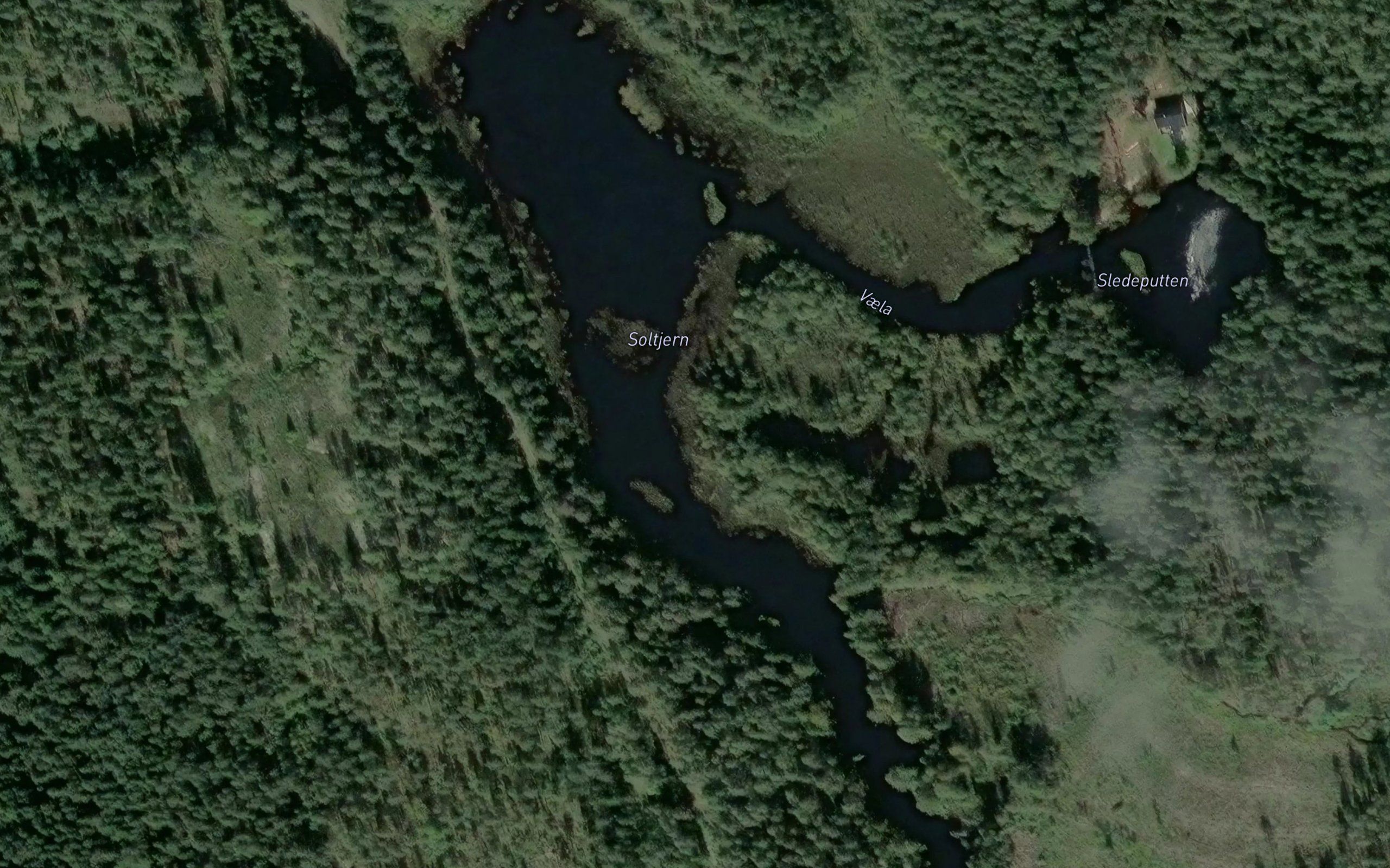 Soltjern