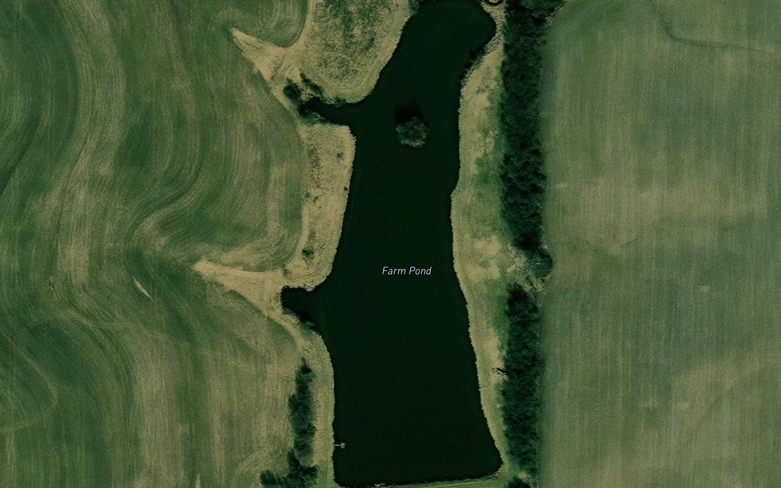 Farm Pond