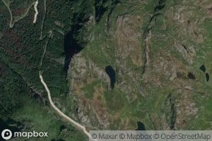 Krypstjorna