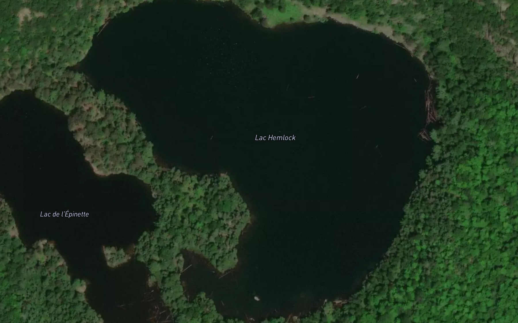 Satellite map of the Lac Hemlock