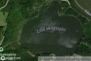 Lilla Skogssjon