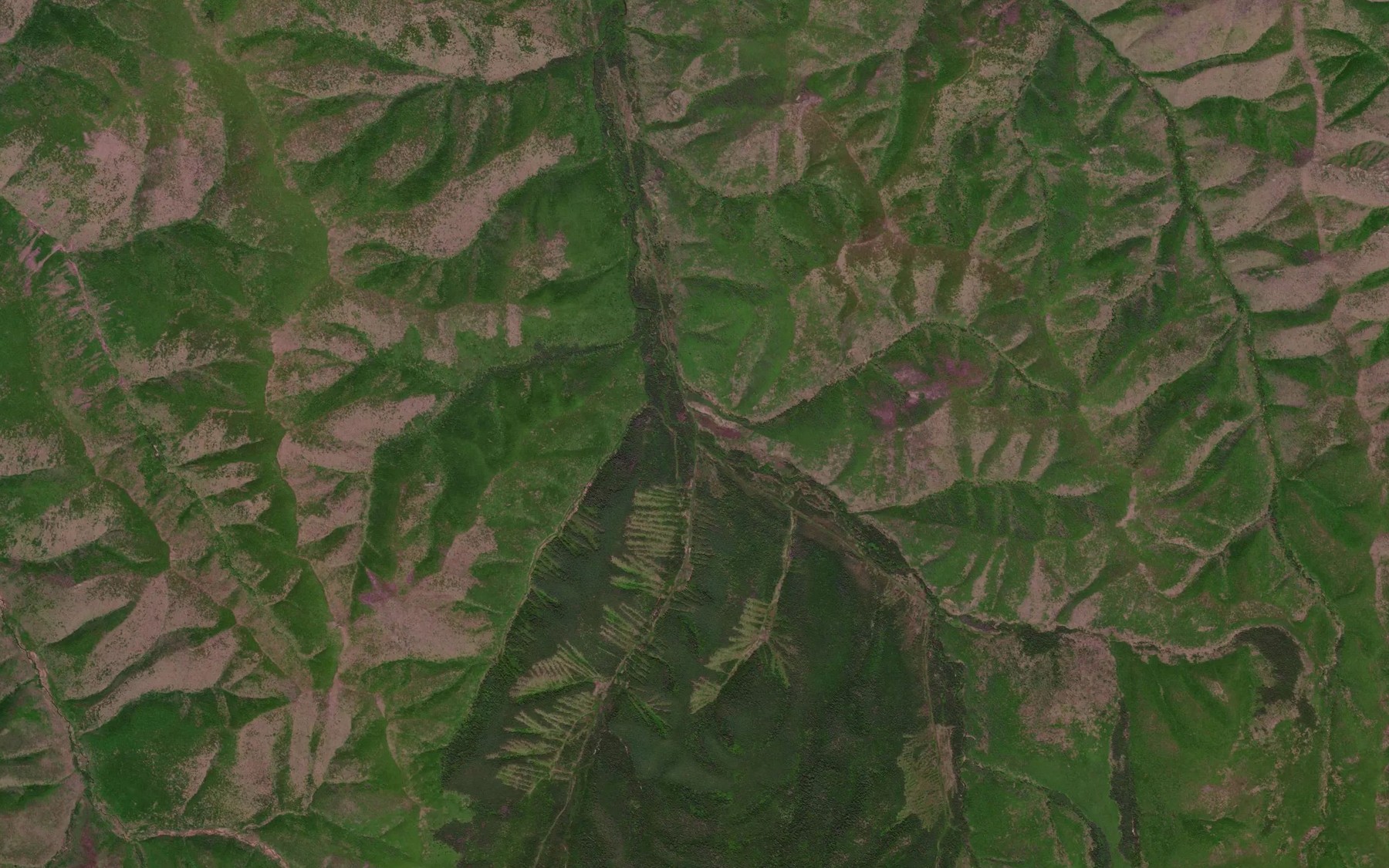 Satellite map of the Rovnyy