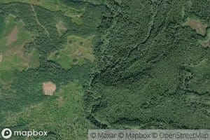 East Fork Lilliwaup Creek