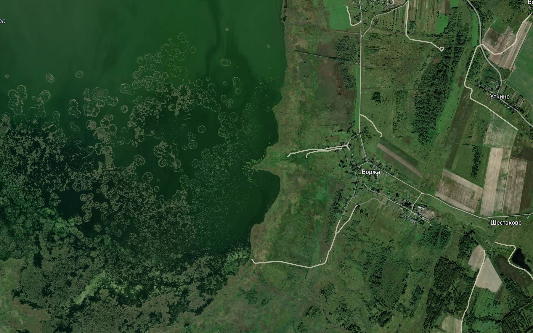 Satellite map of the Knyazhnya