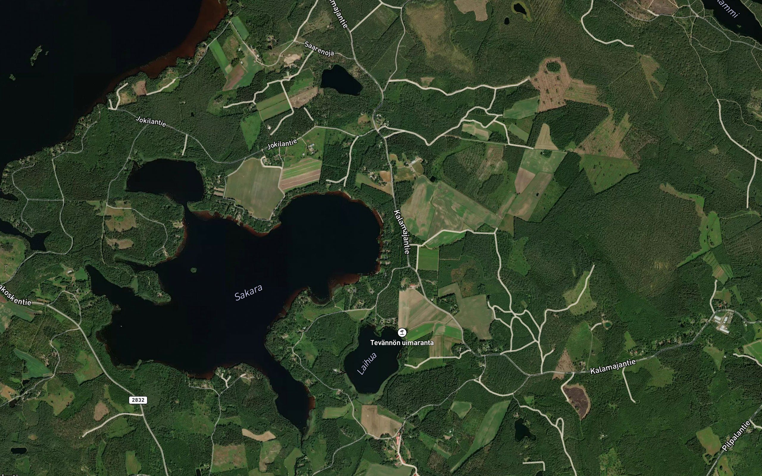 Palojoki