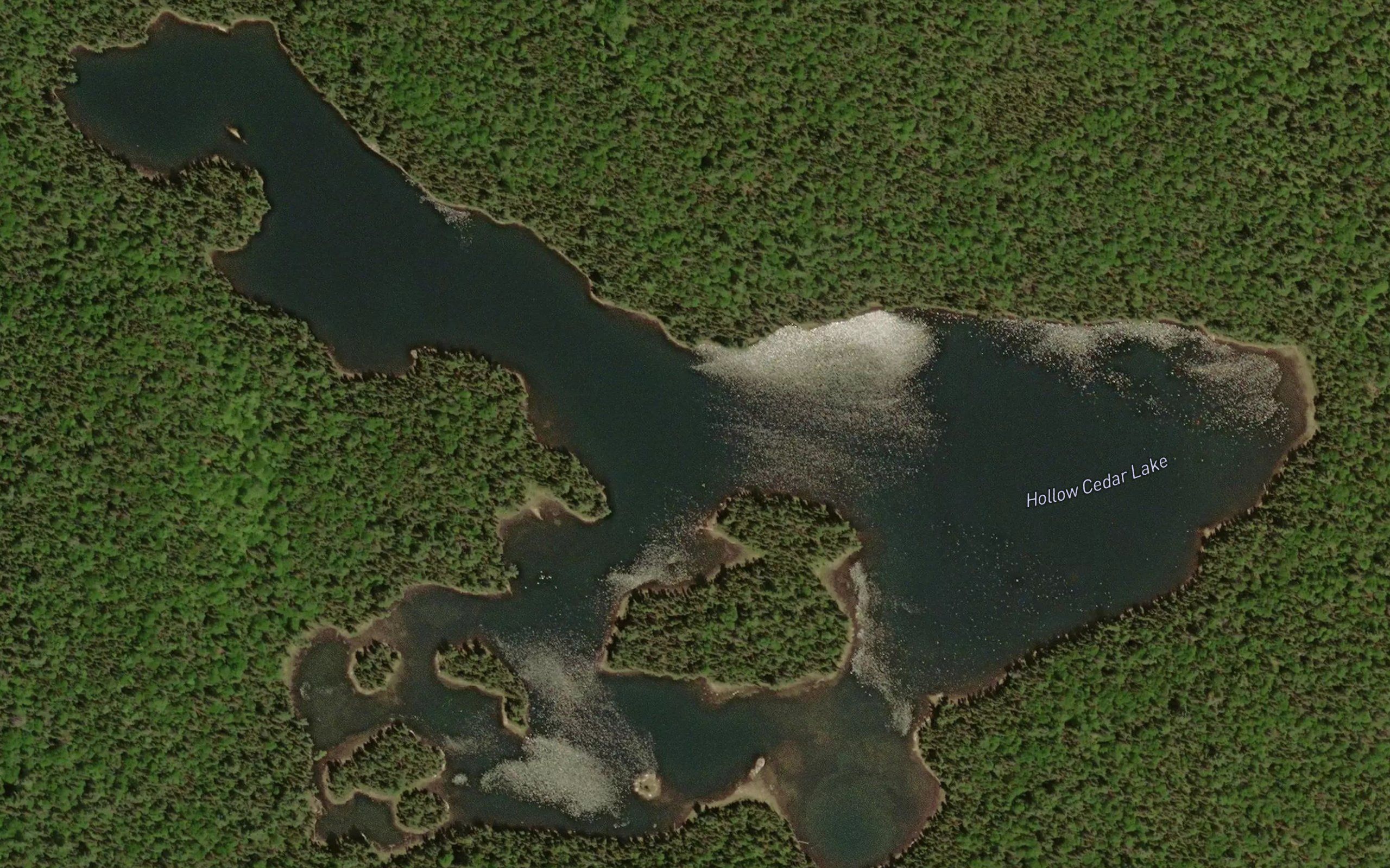 Hollow Cedar Lake