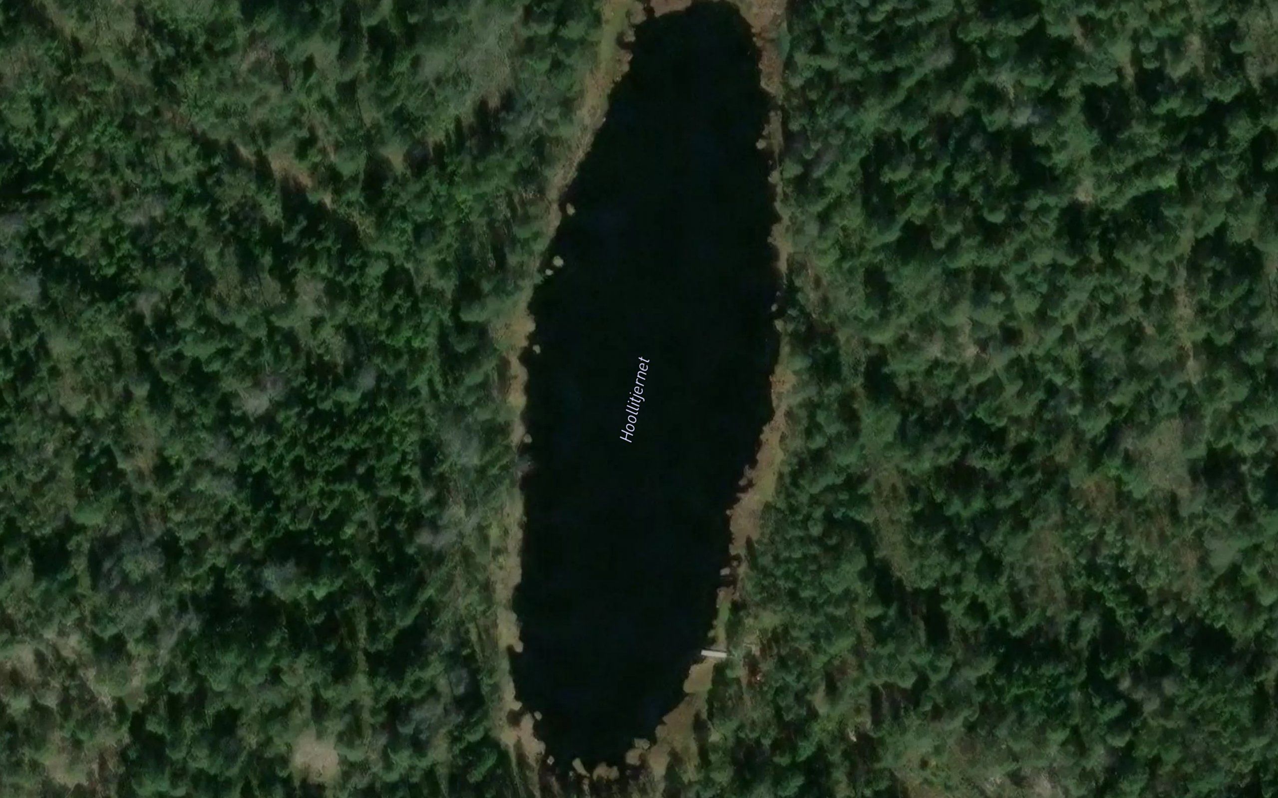 Hollitjernet