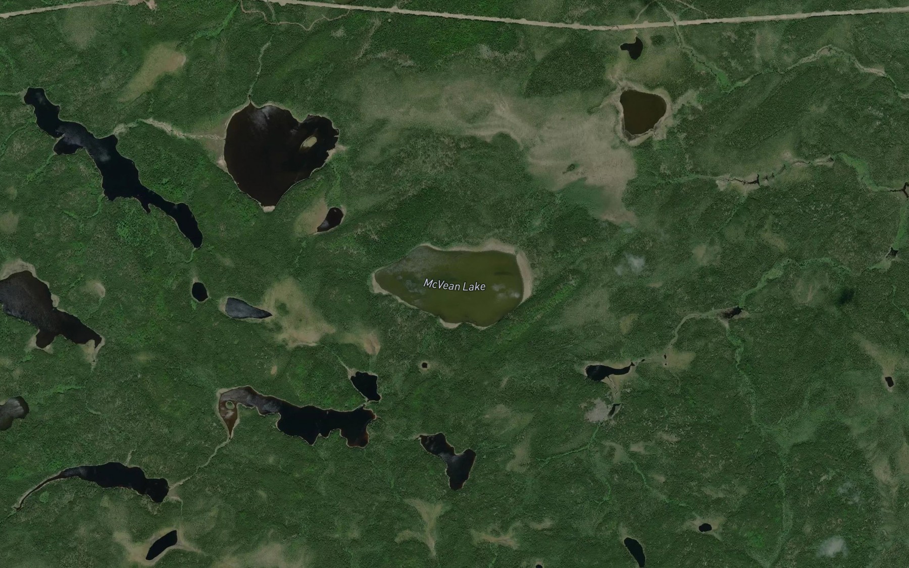 Satellite map of the McVean Lake