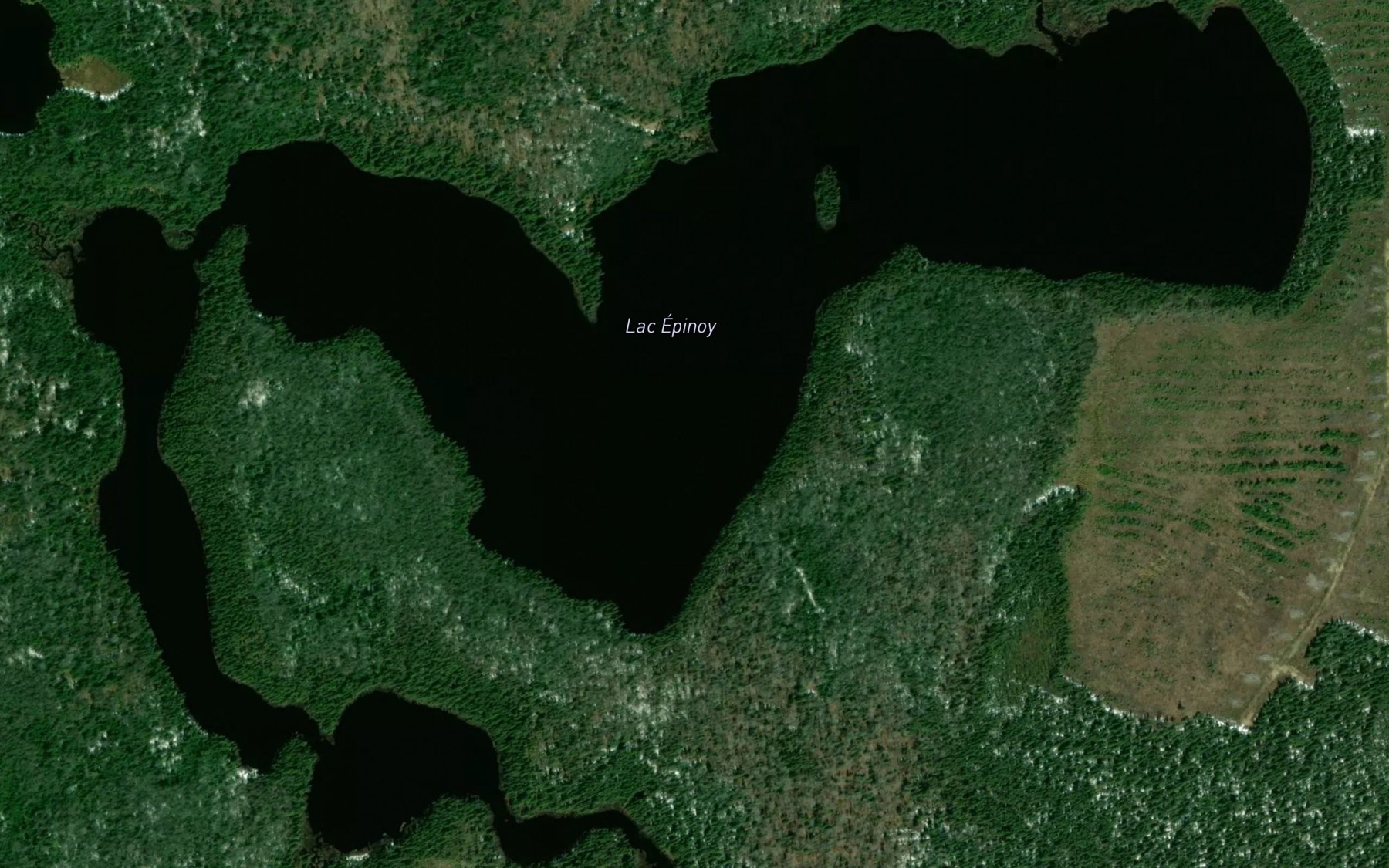 Satellite map of the Lac Epinoy