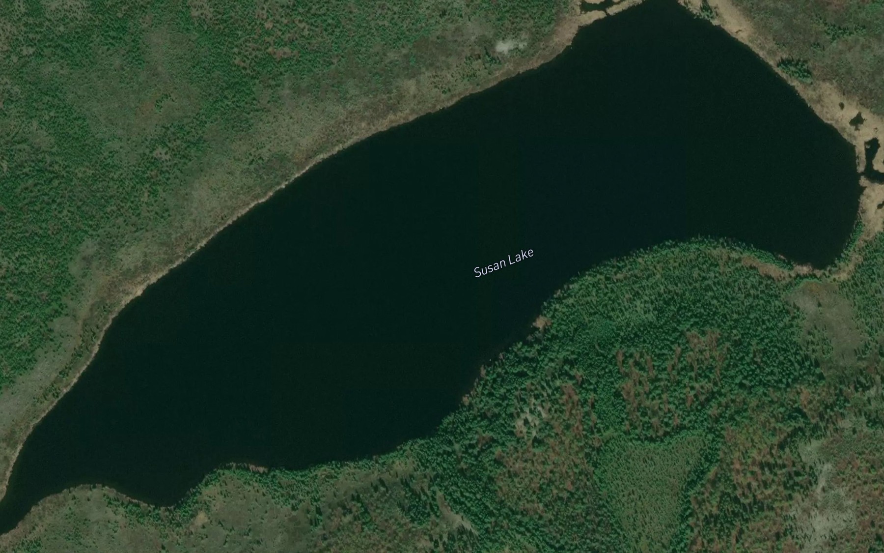 Satellite map of the Susan Lake