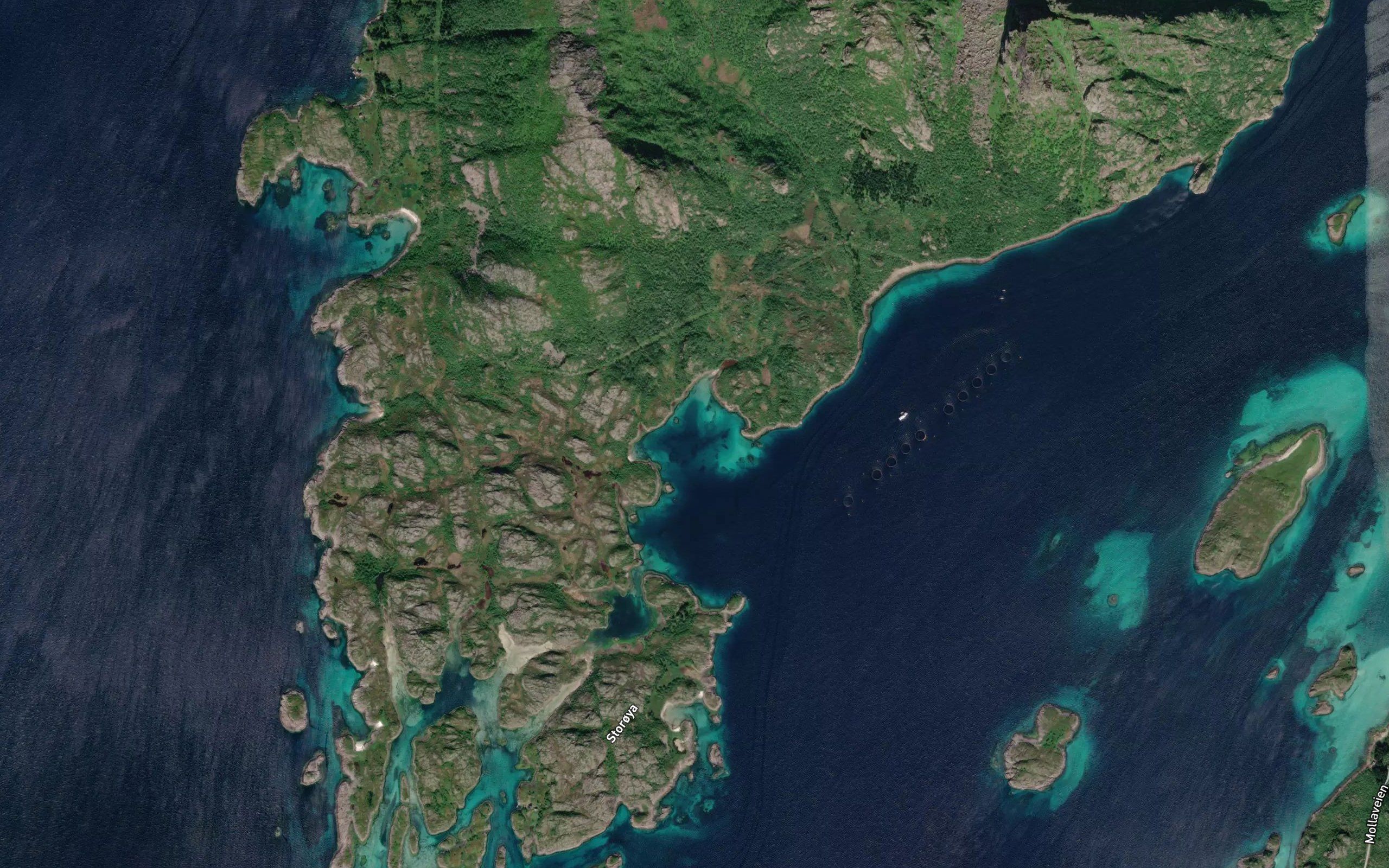 Flotningsvika