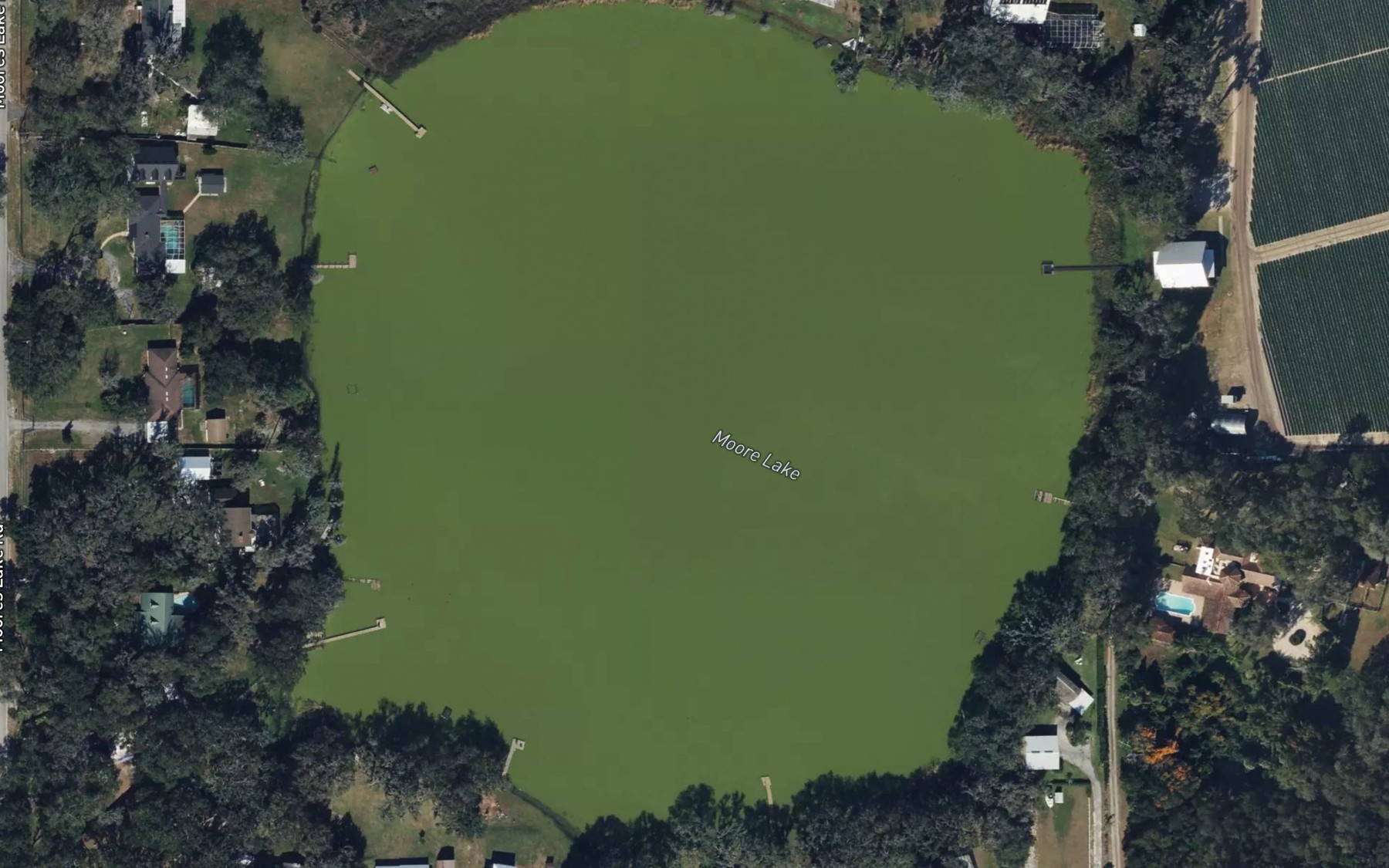 Satellite map of the Moore Lake