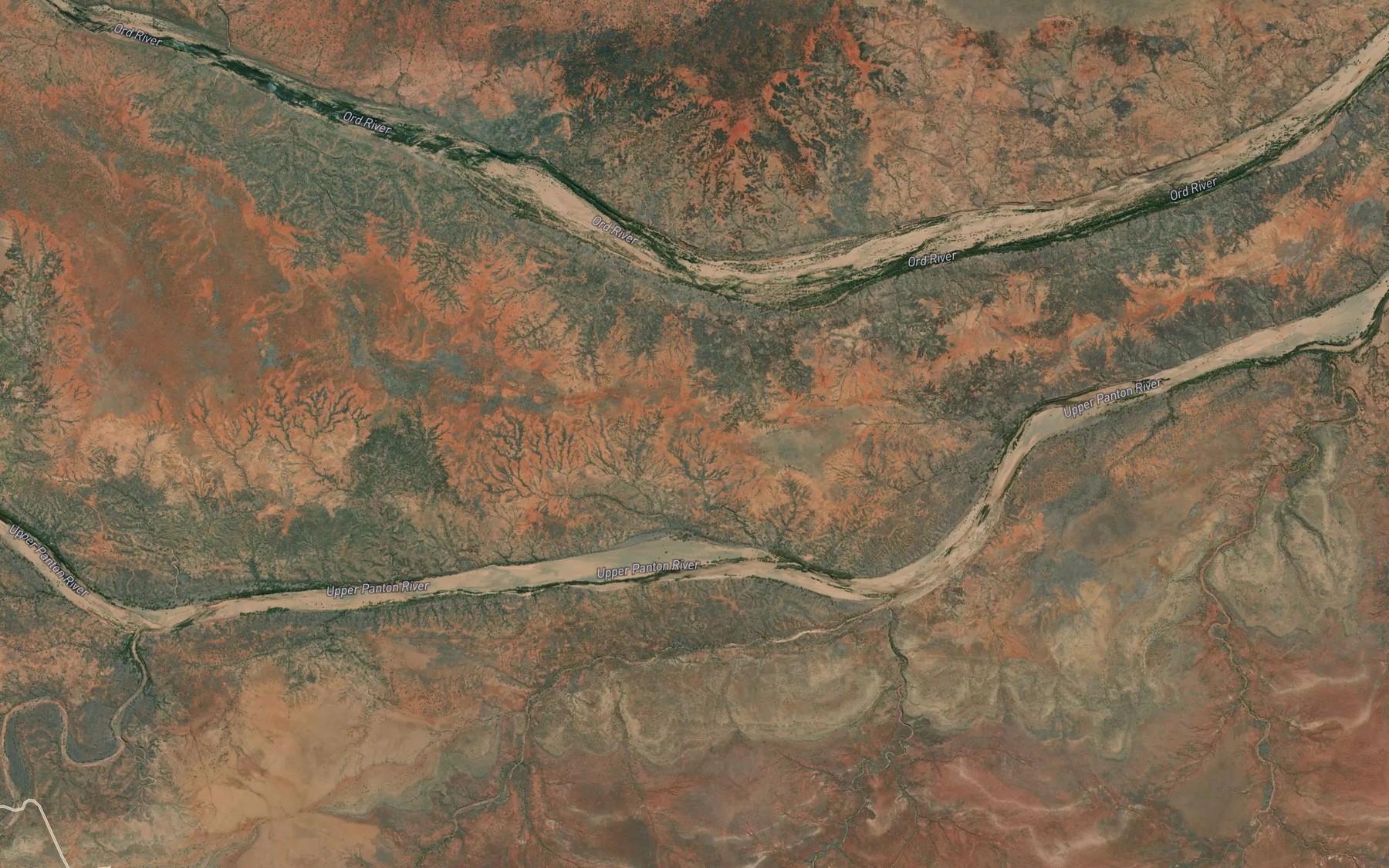 Satellite map of the Palm Pool