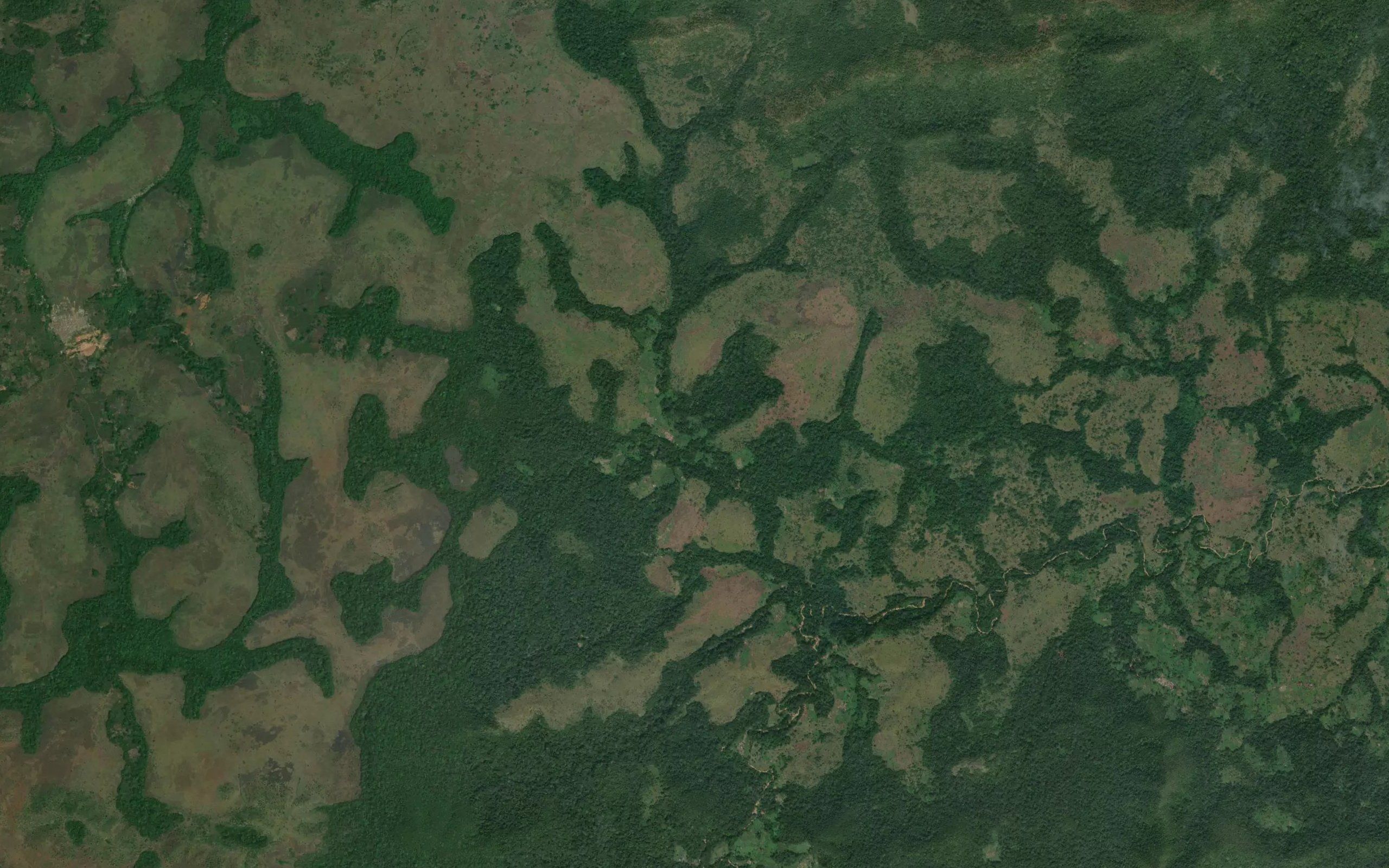 Dekuwe