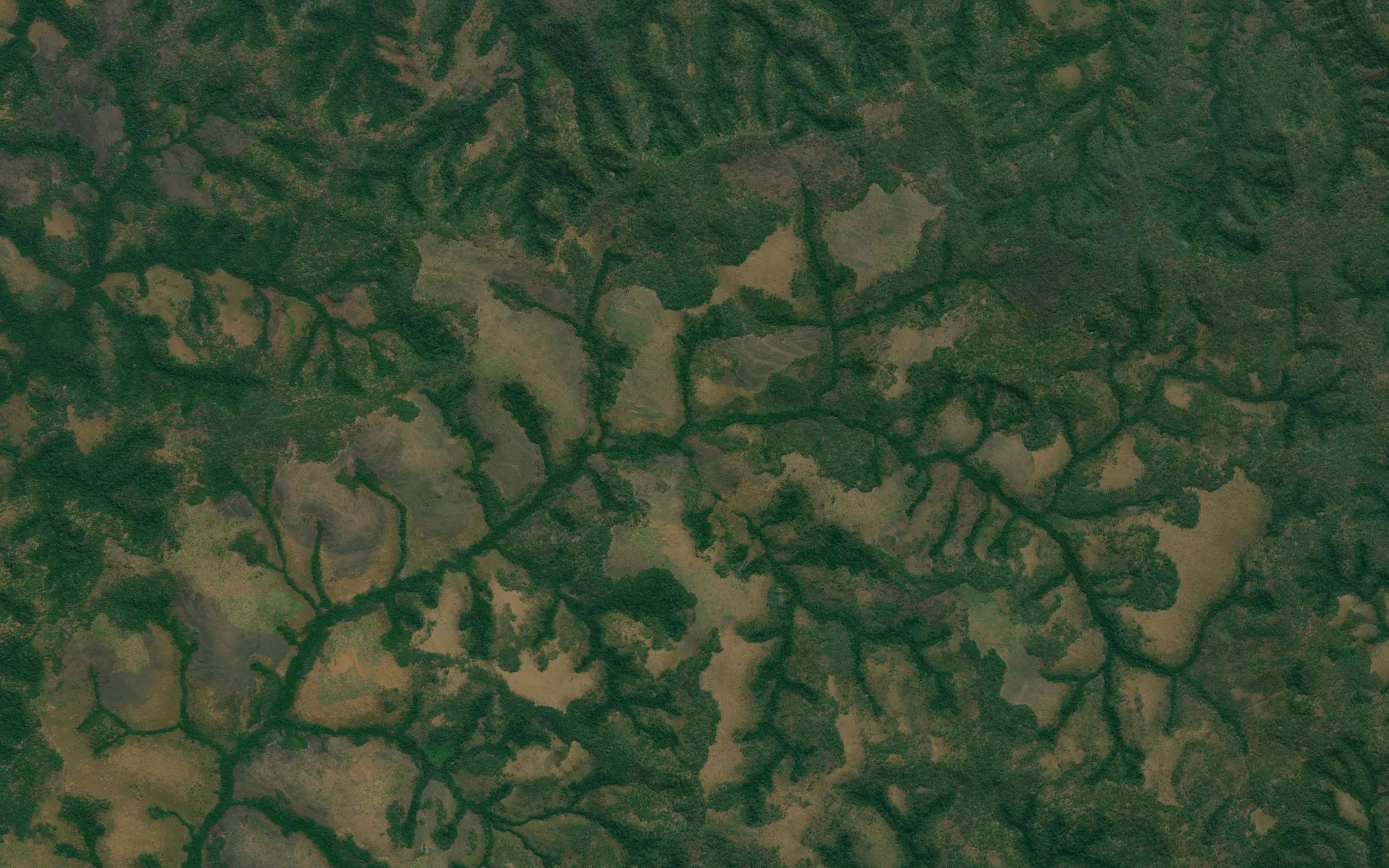 Mbunzi