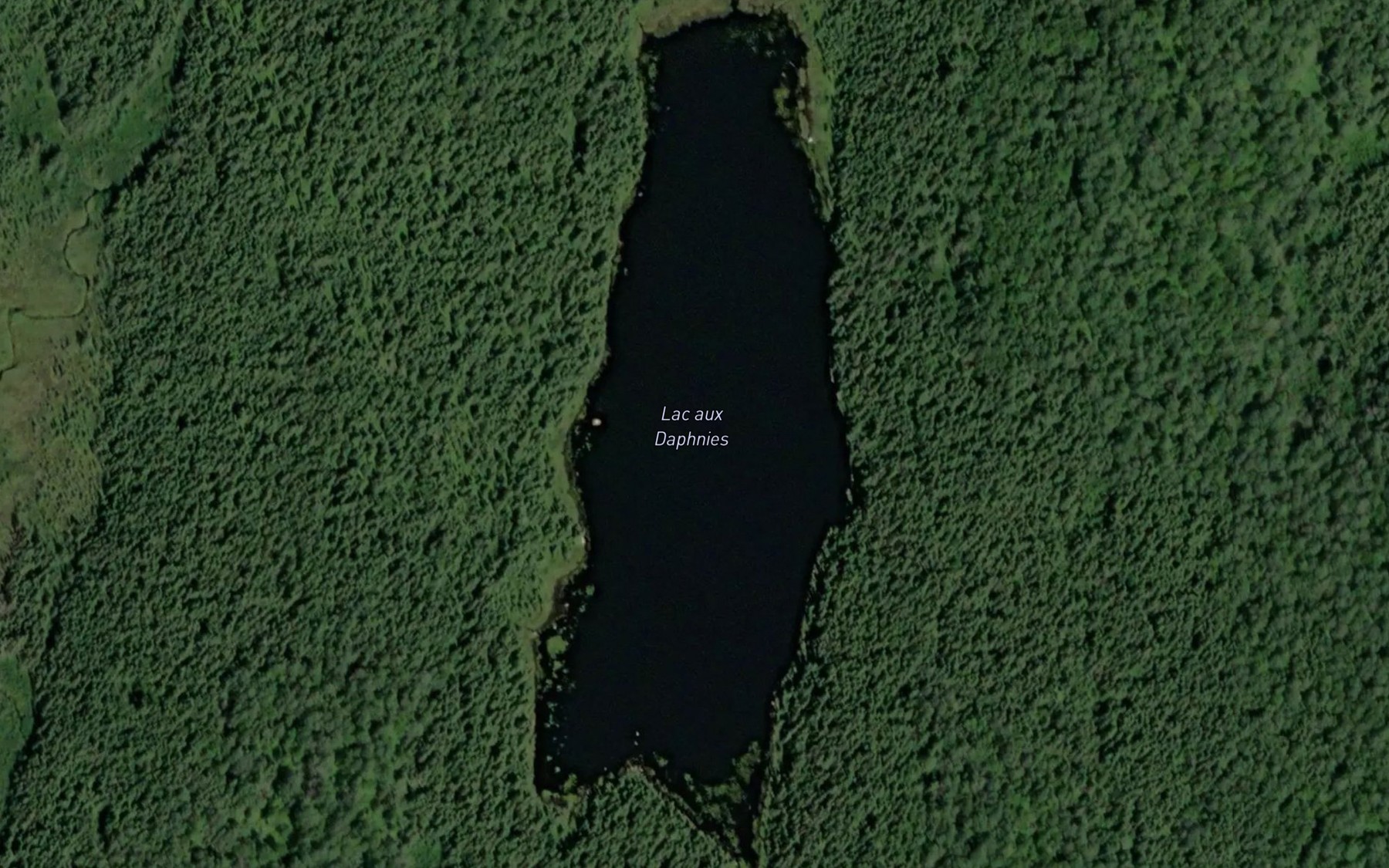 Satellite map of the Lac aux Daphnies