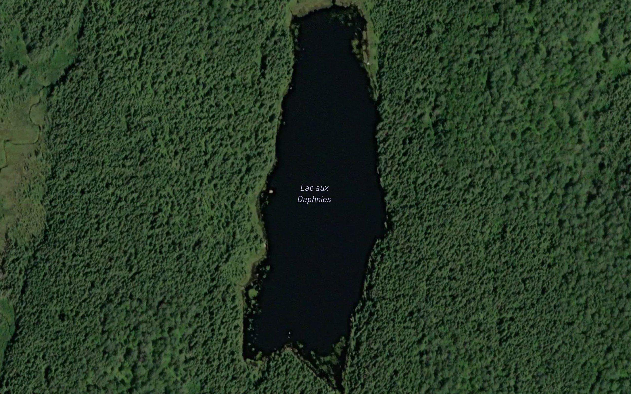 Lac aux Daphnies