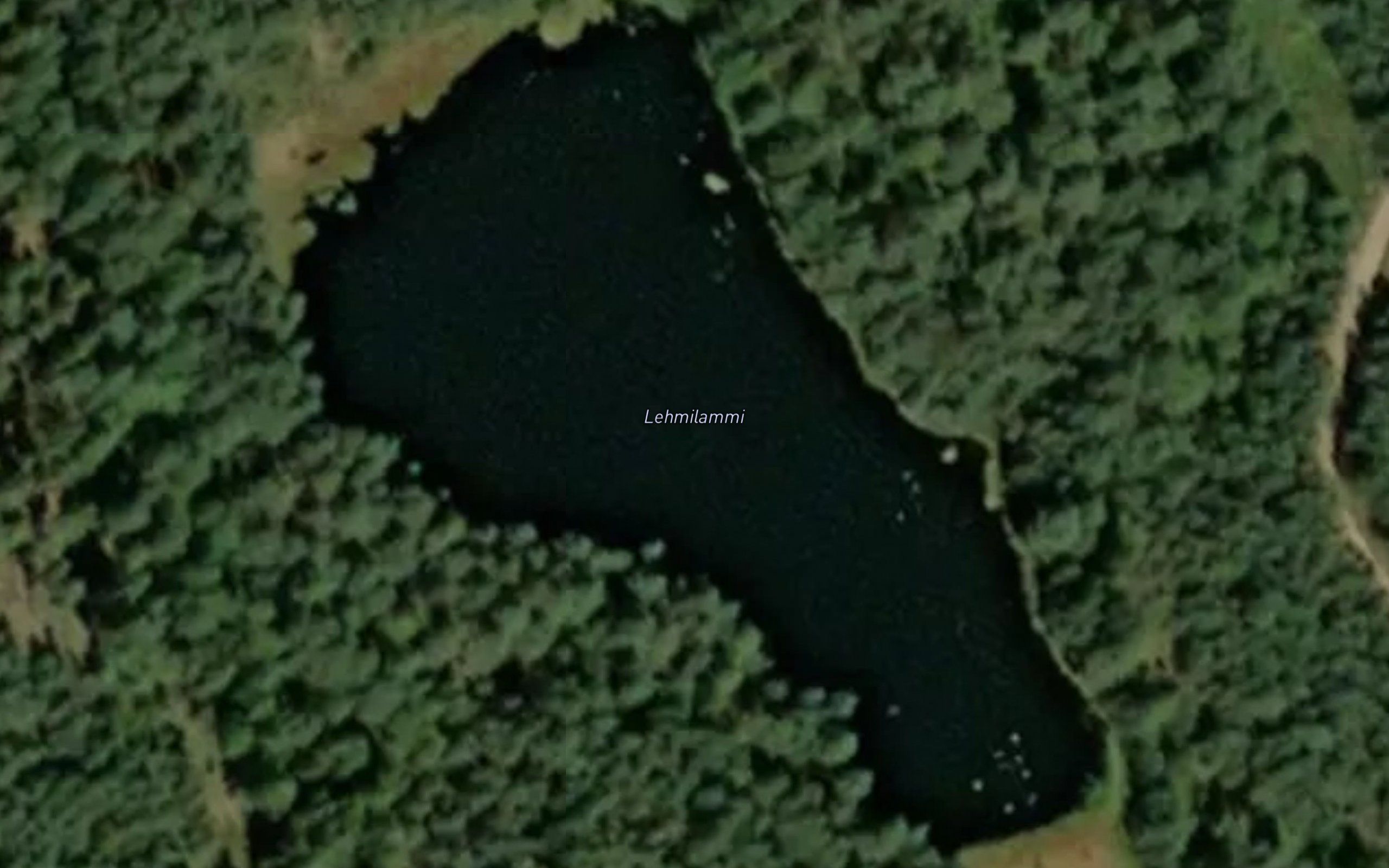 Lehmilammi