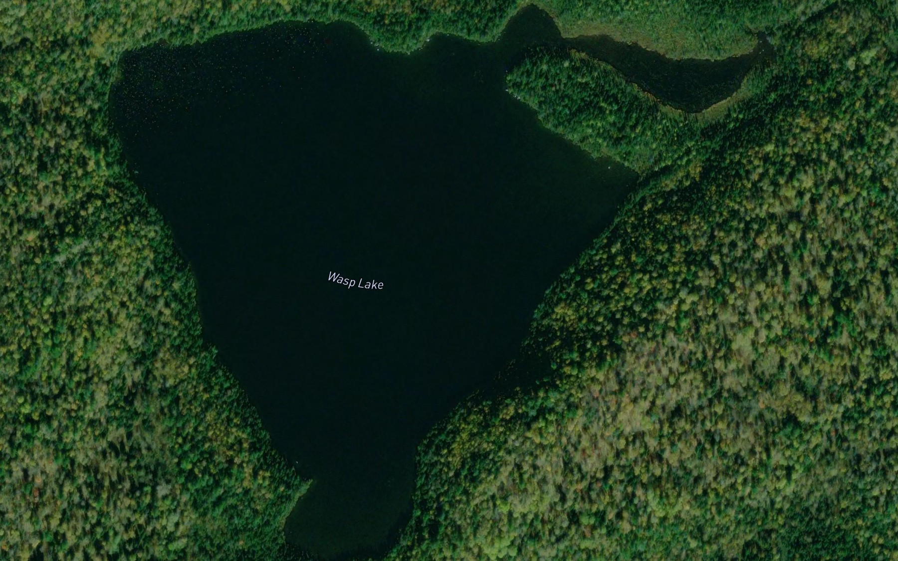 Satellite map of the Wasp Lake