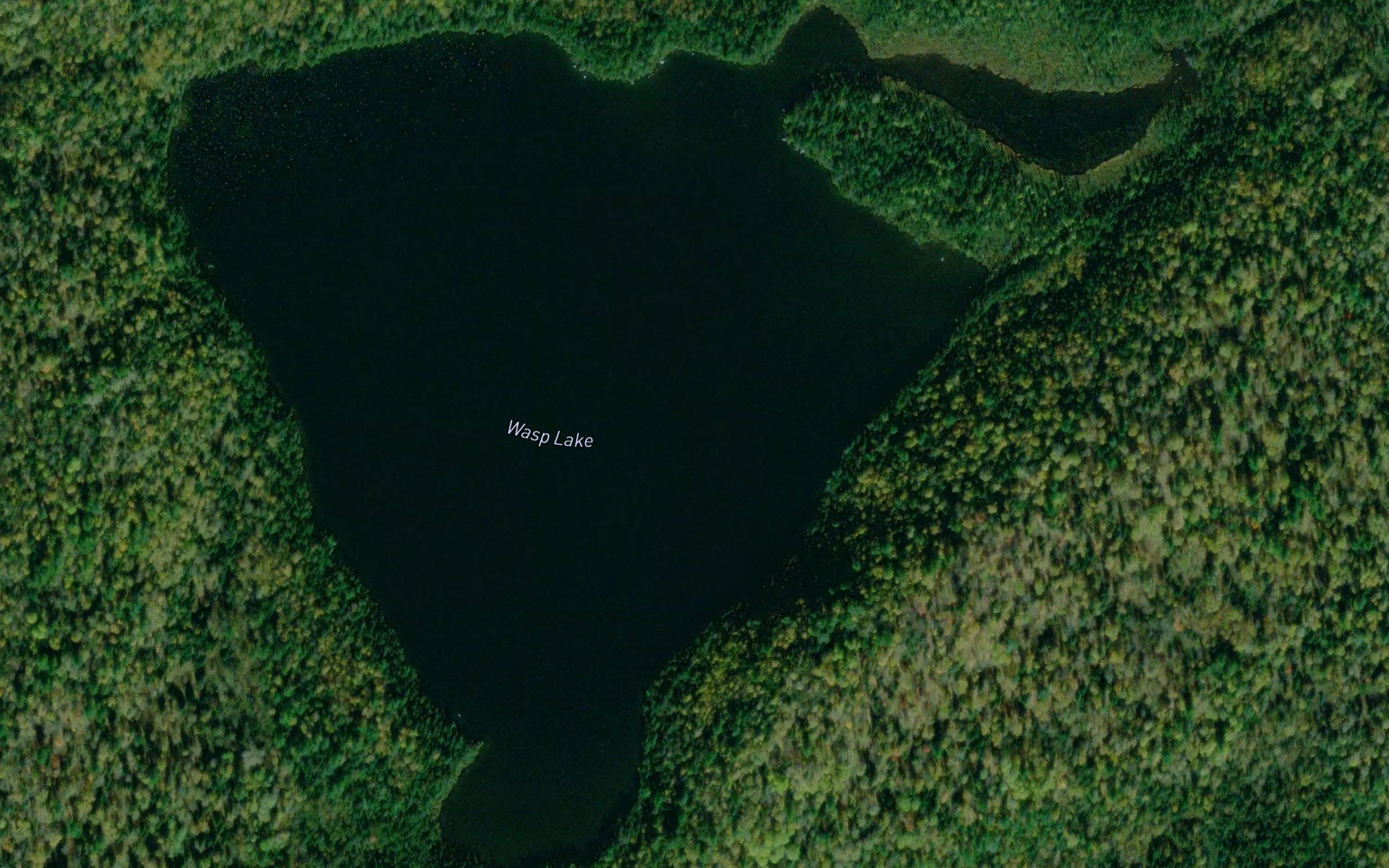 Wasp Lake