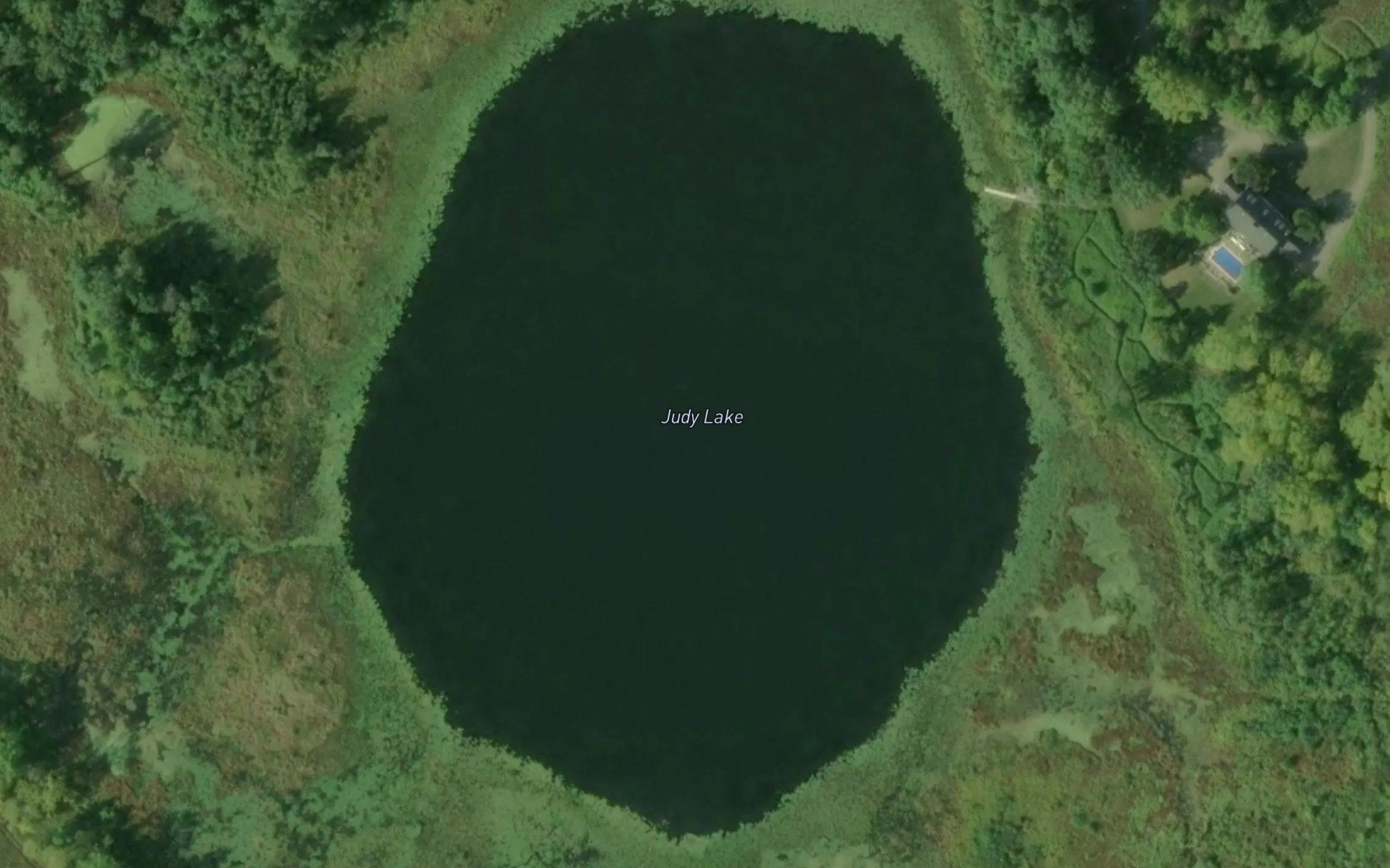 Judy Lake