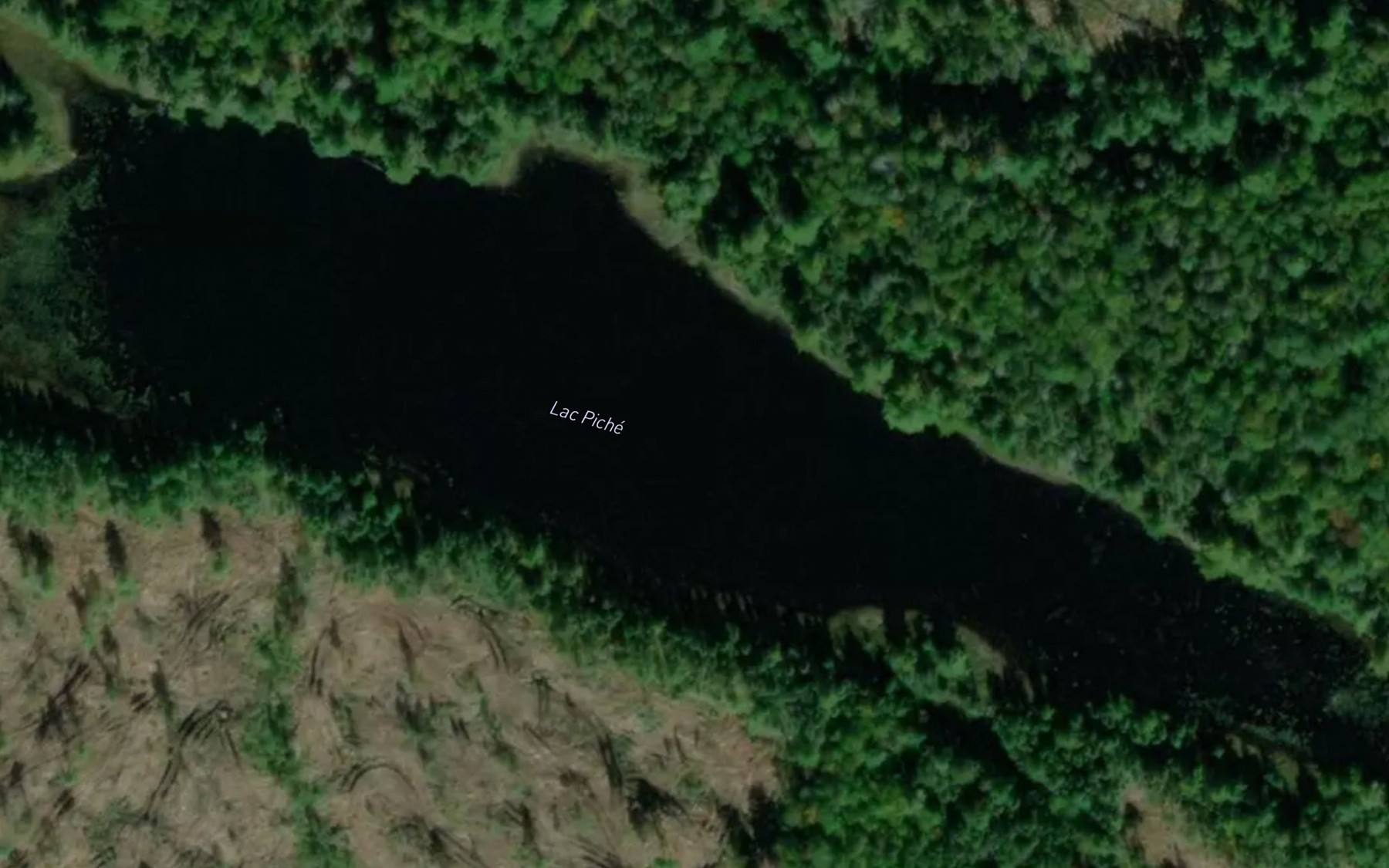 Satellite map of the Lac Piche